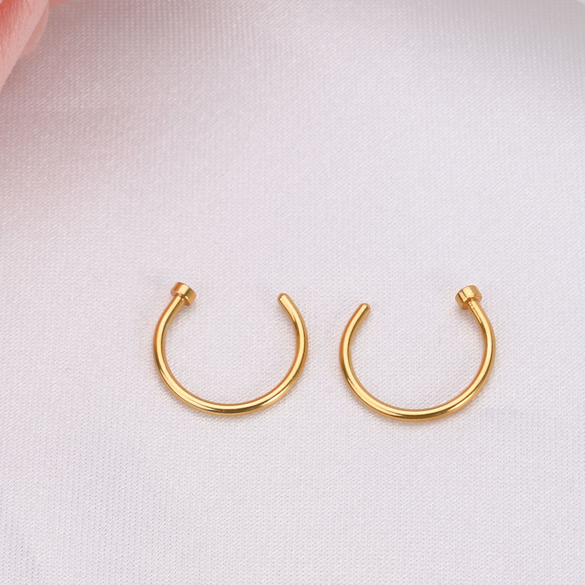2 Stück glatt polierte Nasenri – Body Jewelry For Sensitive Skin Bewertung und Preis